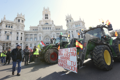Manifestación de agricultores y ganaderos por el paseo de la Castellana en Madrid. Juan Lázaro / ICAL.