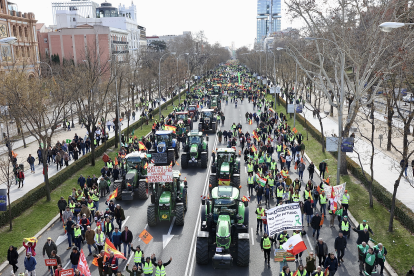 Manifestación de agricultores y ganaderos por el paseo de la Castellana en Madrid. Juan Lázaro / ICAL.