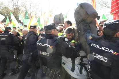 Manifestación de agricultores y ganaderos por el paseo de la Castellana en Madrid. Juan Lázaro / ICAL.