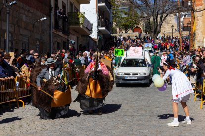 La localidad abulense de Cebreros celebra el 'Domingo de Piñata', con el XXVI desfile provincial de Carnaval. -ICAL