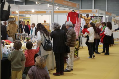 El presidente de la Diputación de Zamora, Javier Faúndez, inaugura la V Feria Apícola Internacional de Zamora ‘Meliza’. -ICAL.