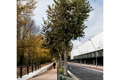Estadio de fútbol 'El Plantío' en Burgos. -LA CASA DE LA ARQUITECTURA