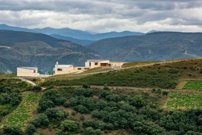 Bodegas de Descendientes de J. Palacios en León. -LA CASA DE LA ARQUITECTURA