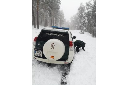 Incidencias en Soria ante el temporal de nieve. -SUBDELEGACIÓN GOBIERNO SORIA