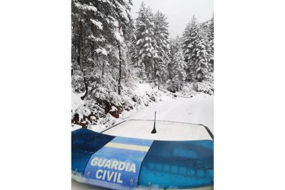 Incidencias en Soria ante el temporal de nieve. -SUBDELEGACIÓN GOBIERNO SORIA