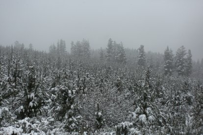Intensa nevada en El Bierzo - ICAL