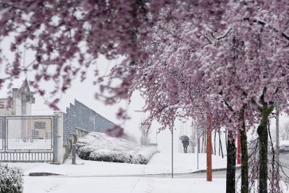 Nevada en Valladolid - ICAL