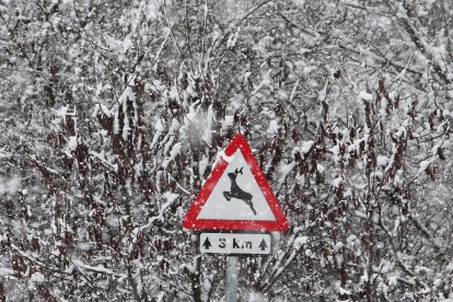 Intensa nevada en El Bierzo - ICAL