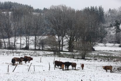 Intensa nevada en El Bierzo - ICAL