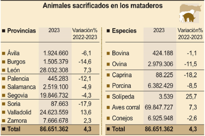 Animales sacrificados en los mataderos. SF. ICAL