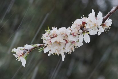 Nevada en Valladolid - ICAL
