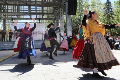 Carrera y Marcha en favor de FEDISPA en el Parque del Salón de Isabel II en Palencia