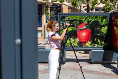 La Fundación 'La Caixa' y el Ayuntamiento de Soria presenta una exposición sobre los colores del mundo