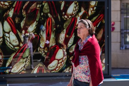 La Fundación 'La Caixa' y el Ayuntamiento de Soria presenta una exposición sobre los colores del mundo