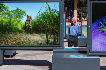 La Fundación 'La Caixa' y el Ayuntamiento de Soria presenta una exposición sobre los colores del mundo