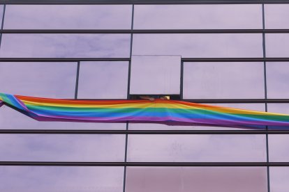 La bandera arcoíris luce ya en las ventanas de los despachos del PSOE en las Cortes de Castilla y León
