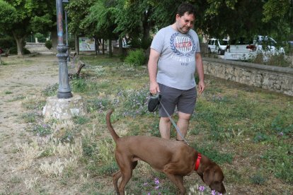 Un hombre pasa con su perro en la zona de la dársena del Canal de Castilla en la capital palentina.