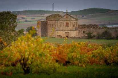 La Ruta del Vino de Zamora es el lugar ideal para disfrutar de espacios perfectamente conservados que mantienen la esencia del pasado e