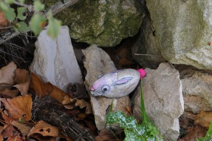 El bosque encantado de Valoria del Alcor (Palencia)