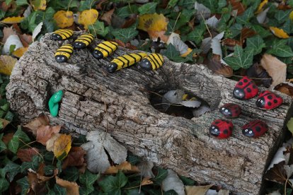 El bosque encantado de Valoria del Alcor (Palencia)