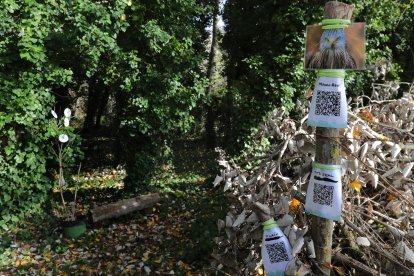 El bosque encantado de Valoria del Alcor (Palencia)