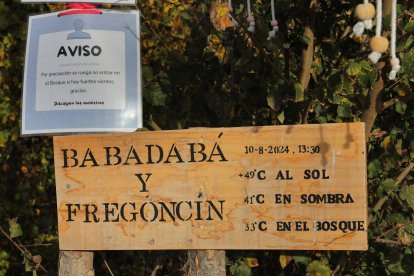 El bosque encantado de Valoria del Alcor (Palencia)