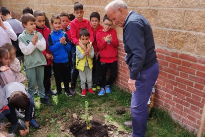 Alumnos de Palencia participan en el programa 'Escuelas para la sostenibilidad'