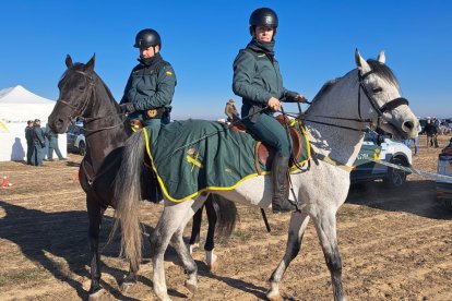 La Guardia Civil desarrolla el dispositivo operativo especial para el LXXXVII Campeonato de España de Galgos