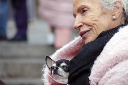 Los leoneses acuden con sus mascotas a la tradicional bendición de San Antón en la parroquia de San Marcelo. ICAL