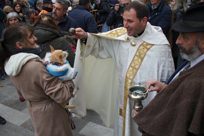 Los leoneses acuden con sus mascotas a la tradicional bendición de San Antón en la parroquia de San Marcelo. ICAL