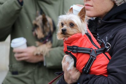 Los leoneses acuden con sus mascotas a la tradicional bendición de San Antón en la parroquia de San Marcelo. ICAL
