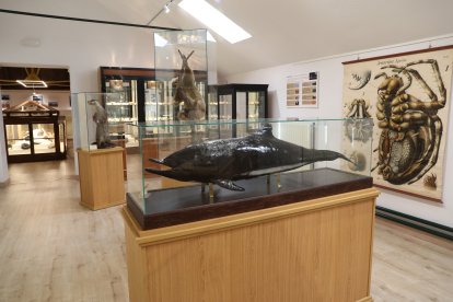 El Instituto Jorge Manrique de Palencia cumple 180 años.