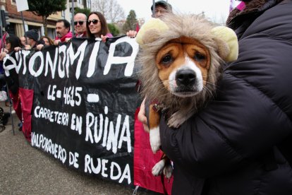 Manifestación por el futuro de León