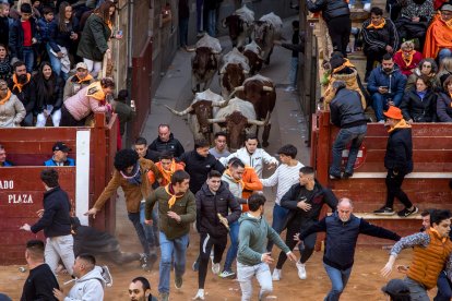Carnaval del Toro en Ciudad Rodrigo (Salamanca).