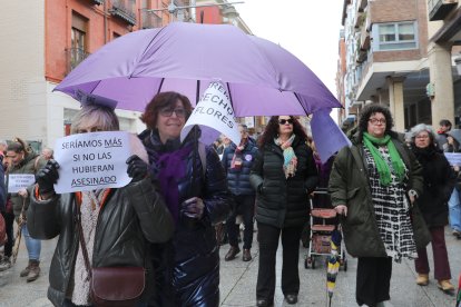 Manifestación de la Plataforma por los Derechos de las Mujeres de Palencia por la calle Mayor y  la Plaza Mayor en Palencia