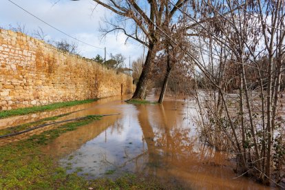 Crecida del río Duero a su paso por Soria capital