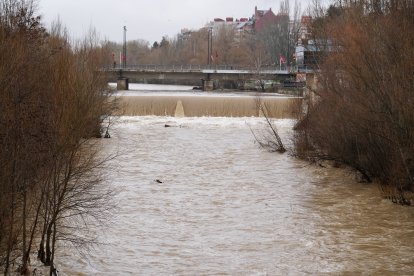 Crecida del río Bernesga a su paso por la capital leonesa