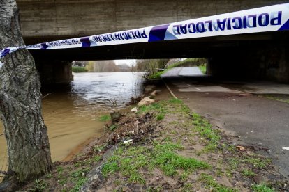 Crecida del río Bernesga a su paso por la capital leonesa
