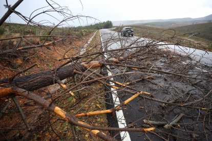 Crecida del Río Mayas en Robleda