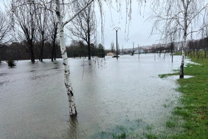 Desbordamiento del río Adaja en el parque de El Soto, en la capital abulense