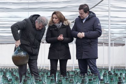 Alberto Núñez Feijóo y Alfonso Fernández Mañueco visitan la bodega Hijos de Alberto Gutiérrez en Serrada (Valladolid).