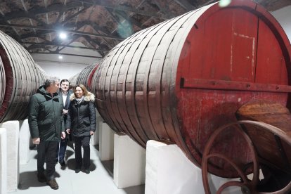 Alberto Núñez Feijóo y Alfonso Fernández Mañueco visitan la bodega Hijos de Alberto Gutiérrez en Serrada (Valladolid).