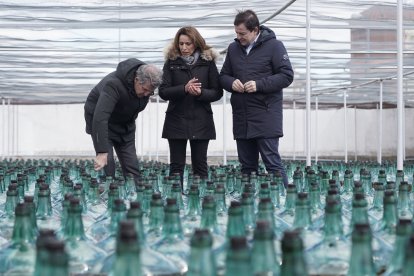 Alberto Núñez Feijóo y Alfonso Fernández Mañueco visitan la bodega Hijos de Alberto Gutiérrez en Serrada (Valladolid).