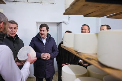 Alberto Núñez Feijóo y Alfonso Fernández Mañueco visitan una quesería en Serrada (Valladolid).