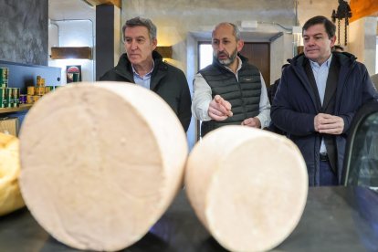 Alberto Núñez Feijóo y Alfonso Fernández Mañueco visitan una quesería en Serrada (Valladolid).