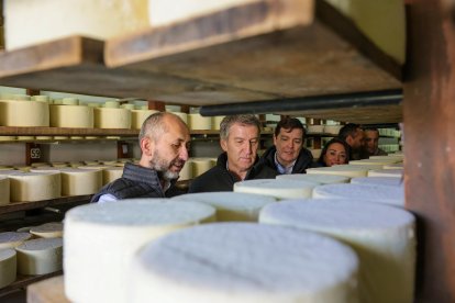 Alberto Núñez Feijóo y Alfonso Fernández Mañueco visitan una quesería en Serrada (Valladolid).