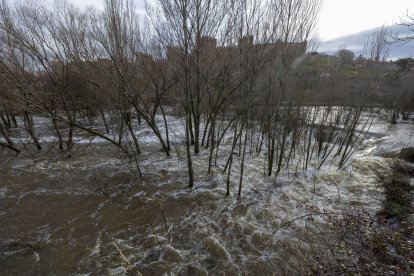 Río Adaja a su paso por Ávila.