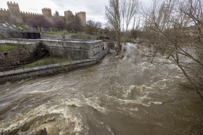 Río Adaja a su paso por Ávila.