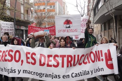 Manifestación contra la proliferación de macrogranjas y plantas de biogás en Castilla y León