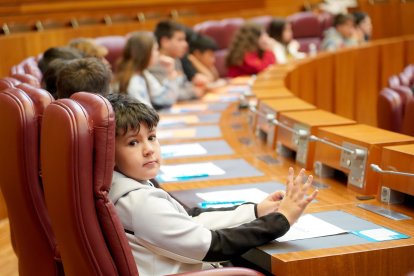Un centenar de escolares de nueve centros de Castilla y León participa en el pleno infantil de las Cortes organizado por Aldeas Infantiles SOS.